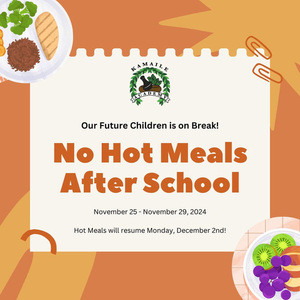 Afternoon Hot Meals on Break